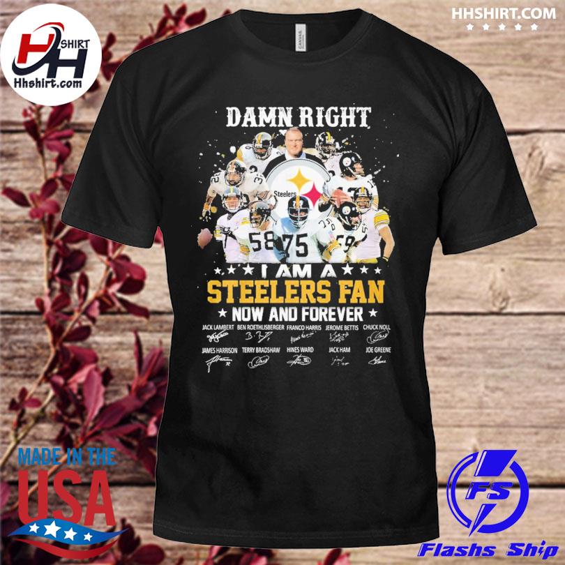 Pittsburgh Steelers Players Names City Skyline 2023 Season Shirt, hoodie,  longsleeve, sweatshirt, v-neck tee