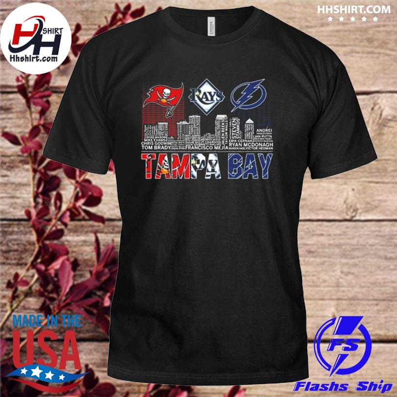 Tampa Bay Buccaneers Bay Rays Bay Lightning skyline logo shirt